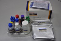 百日咳杆菌毒素PT和丝状血凝素FHA（IgG）抗体测定试剂盒（酶联免疫法）（全定量不仅可以测抗体同时可以辅助临床诊断用）