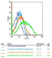RCAS1/EBAG9肿瘤相关表面抗原EBAG9抗体