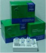 乙酰胆碱酯酶（T-CHE）检测试剂盒
