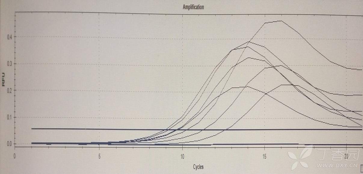 定量pcr的扩增曲线