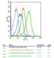 OSTM1骨硬化病相关跨膜蛋白1抗体