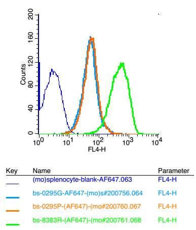 UBE2Q1泛素蛋白连接酶Q1抗体