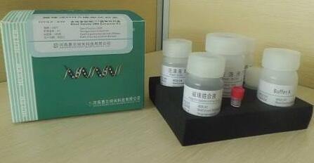 Lowry 蛋白定量试剂盒