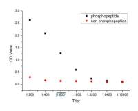 phospho-LATS1+LATS2 (Thr1079 +Thr1041)磷酸化肿瘤