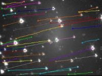 Zeta电位仪-视频跟踪法