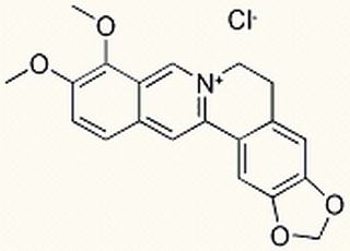 盐酸小檗碱 CAS:633-65-8
