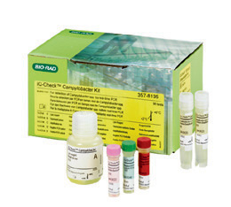 iQ-Check 弯曲杆菌检测试剂盒