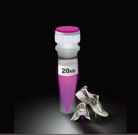 KAPA长片段DNA聚合酶及Ready Mix