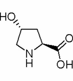 L-羟脯氨酸 CAS:51-35-4
