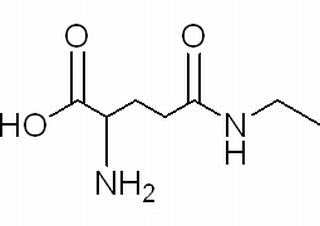 茶氨酸 CAS:3081-61-6