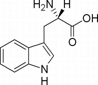 L-色氨酸(L-色氨基酸) CAS:73-22-3