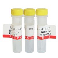 BIOTIN标记兔抗绵羊IgG抗体