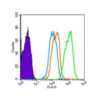 Alpha-synuclein (nitro-Tyr39)硝基化α-突触核蛋白/n-syn抗体