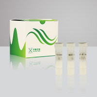 AT4108-03 超声打断法通用型基因组建库试剂盒