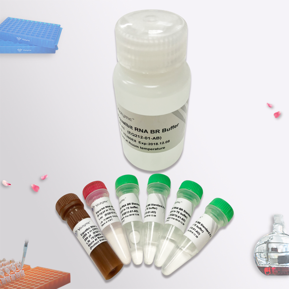 Equalbit RNA BR Assay Kit（EQ212）