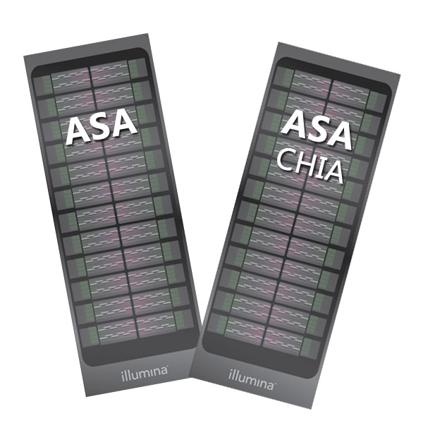 Illumina ASA芯片（Asian Screening Array）检测服务