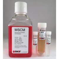 ScienCell 间充质干细胞培养基MSCM(货号7501)