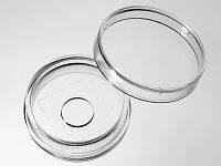 29mm 玻底皿(玻底培养皿，激光共聚焦专用培养皿)