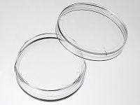 35mm 细胞培养皿