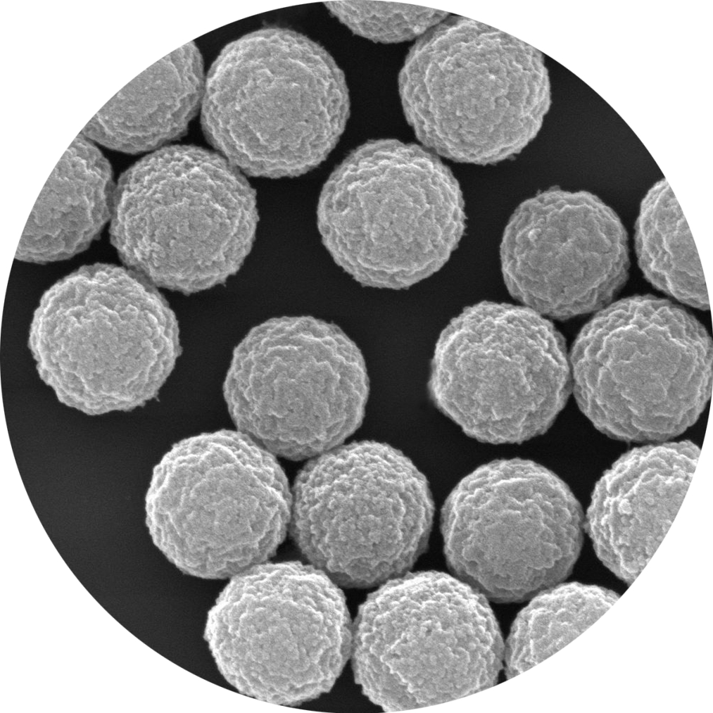 粪便基因组DNA提取磁性微球/磁珠