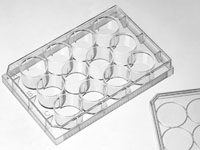 12 孔细胞培养板