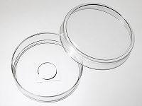 60mm 玻底皿(玻底培养皿，激光共聚焦专用培养皿)
