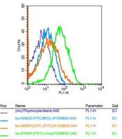 phospho-Stathmin 1 (Ser63)磷酸化原癌基因蛋白18抗体