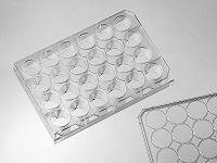 24 孔细胞培养板