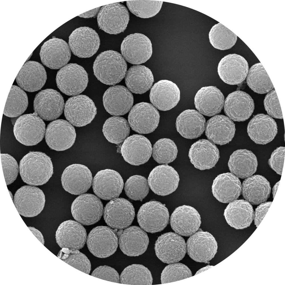 ProteinA修饰磁珠/磁性微球