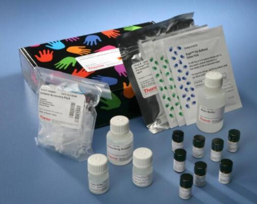 植物花色苷检测试剂盒