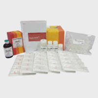 RNA抽提纯化试剂盒（Hybrid-R）