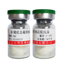 磷酸化D酪氨酸激酶衰减蛋白1抗体
