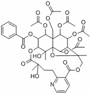 雷公藤定碱(37239-51-3)分析标准品,HPLC≥98%