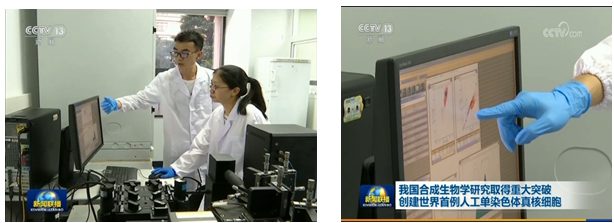  贝克曼 MoFlo™ XDP 助力世界首例人工单染色体真核细胞