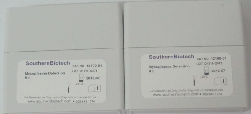 支原体PCR检测试剂盒 Mycoplasma detection Kit 13100-01