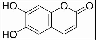 秦皮乙素(305-01-1)分析标准品,HPLC≥98%