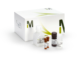 Sodium 4-Phenylbutyrate