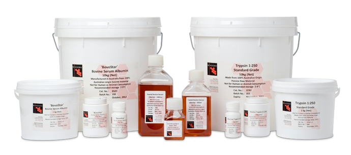 牛血清白蛋白 BSA Bovine Serum Albumin