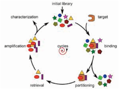 Thermo Scientific 抗体药解决方案