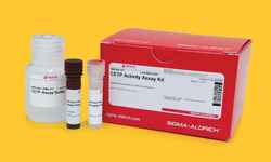 PhosphoDetect (TM) Serine Detection Kit