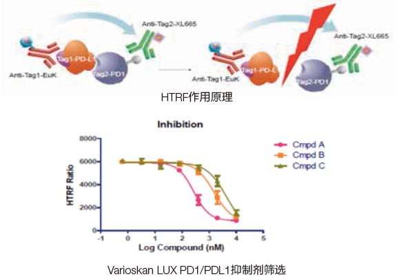 Thermo Scientific 抗体药解决方案