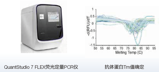 Thermo Scientific 抗体药解决方案