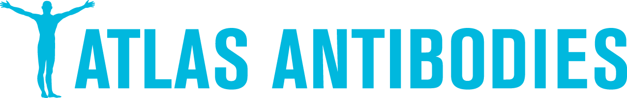 Atlas antibodies 特约代理