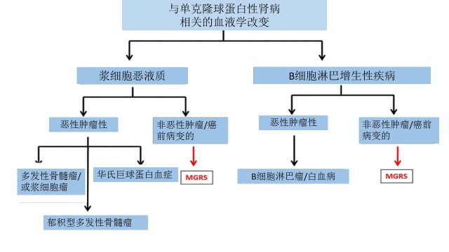 单克隆免疫球蛋白肾病能够吃肉吗 单克隆免疫球蛋白相关性肾病，你知道多少？