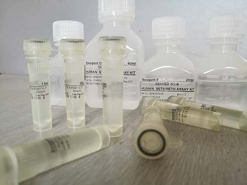 猪乙脑病毒抗体检测试剂盒