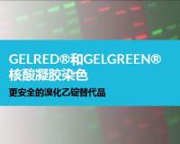 Biotium  GelRed®核酸凝胶染色剂， 10,000X 水 41003