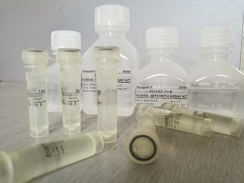 人β1肾上腺素受体抗体(β1-AR)ELISA试剂盒