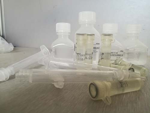 碱性蛋白非变性PAGE凝胶制备及电泳试剂盒