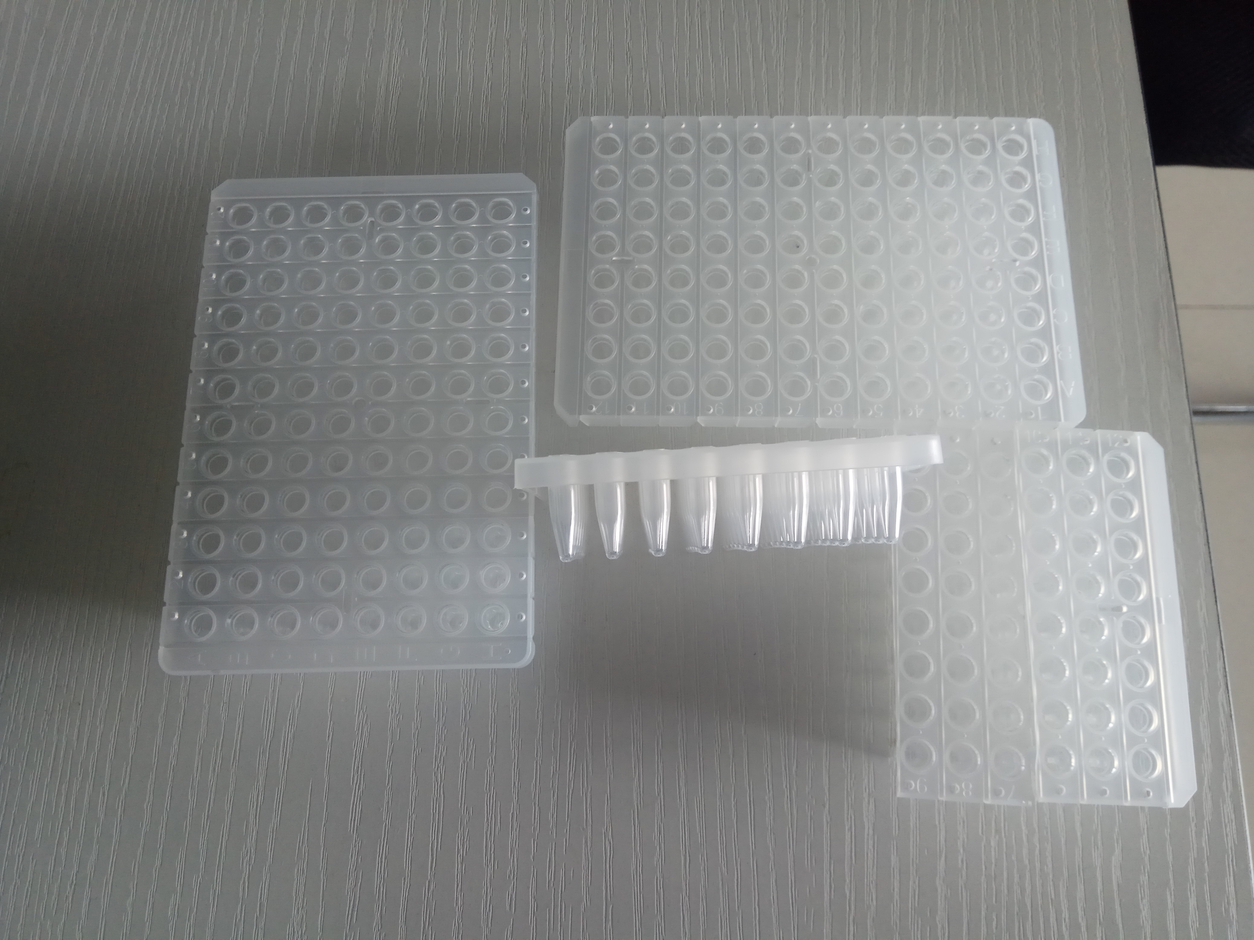 PCR板 ABI 罗氏 伯乐荧光定量PCR仪 通用 无裙边 半裙边