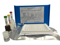 强直性脊柱炎B27检测试剂盒